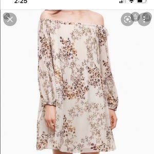 Wilfred Raison Dress